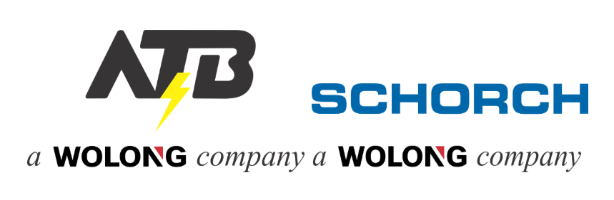 wolong logo